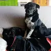 David Cardillo - @david.cardillo - TikTok