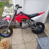 David Caria - @david.caria - TikTok