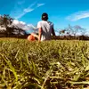 David Carias - @.david_carias - TikTok