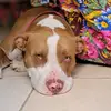 David Carias - @david_carias - TikTok