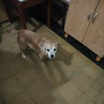 lourdes carignano - @david_carignano - Instagram