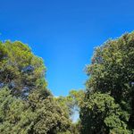 David Carlens - @davidcarlens - Instagram