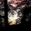 David Carmo - @david.carmo6 - TikTok