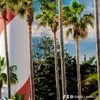 David Carmo - @david.carmo76 - TikTok