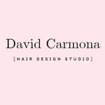 DAVID CARMONA - @davidcarmonart_ - Instagram