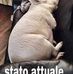 David Carnaroli - Facebook