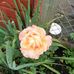 David Carrick - Facebook