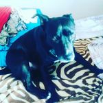Luis David Casimiro Garcia - @luisdavidcasimirogarcia - Instagram