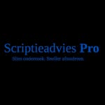 David Cassuto - @scriptieadviespro - Instagram