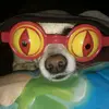 David - @david_castleberry - TikTok