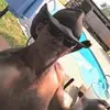 davidcasto683 - @davidcasto683 - TikTok