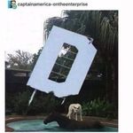 David Cato - @gianicat - Instagram