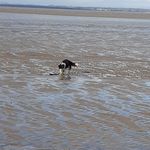 David catton - @catton419 - Instagram