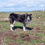 David Catton - @catton3559 - Instagram