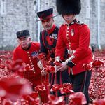 David Catton - @catton783 - Instagram