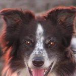 David Catton - @catton324 - Instagram