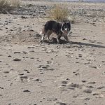 David Catton - @catton197 - Instagram