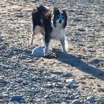 David Catton - @catt5651 - Instagram
