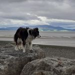 David catton - @catton9281 - Instagram