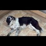 David catton - @catton202 - Instagram
