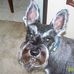 David Cauthen - Facebook