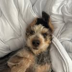 David Otero Cayado - @david_cayado - Instagram