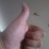 David Cayton - @2183800940 - TikTok