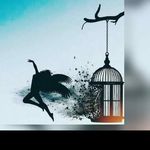 David caywood - @david_caywood1 - Instagram