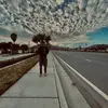 David Cazares - @davidcazares50 - TikTok