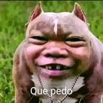 David Cazares - Facebook