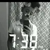 David Cazares - @davidcazares2 - TikTok