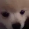 @ - @davidcazares797 - TikTok