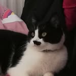David Cederberg - @davidcederberg123 - Instagram