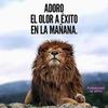 David Celis - @david.celis5 - TikTok