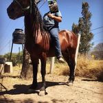 David Celis - @david._celis_ - Instagram