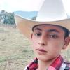 Davidcelisvargas - @usery2xdc5lrvt - TikTok