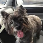 David Chaffee - @dmchaffee777 - Instagram