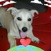 David Chai - Facebook
