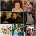 David Chain - Facebook