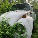 David Alan Chalfant - @david.chalfant.9 - Instagram