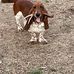 David Chambliss - Facebook
