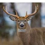 David Chartrand - @david.chartrand.129 - Instagram