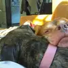 David Chase - @david.chase54 - TikTok