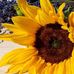 David Chatman - Facebook