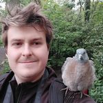 David Chatterton - @david_chatterton - Instagram