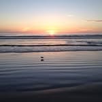 David Cheatham - @bigdogflorida - Instagram