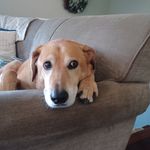 David Cheney - @davidcheney7 - Instagram