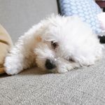 David Cheon - @dd_cheon - Instagram