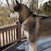 David Cheuvront - Facebook