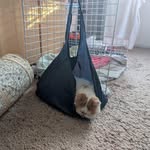 David Chik - @davidchik666 - Instagram